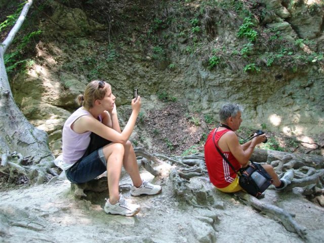 DSC05856 (Medium)